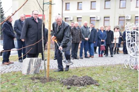 Podczas sesji zasadzono również dąb na skwerze obok Urzędu Gminy na pamiątkę 100-lecia odzyskania niepodległości. Fot: jasienica.pl